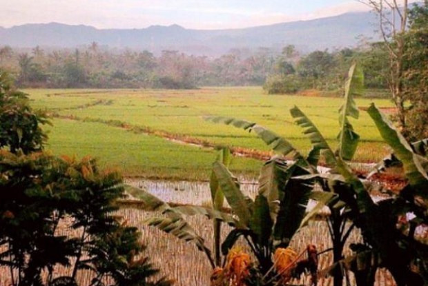 Desa Wisata Sari Bunihayu, Menimati Keasrian dan